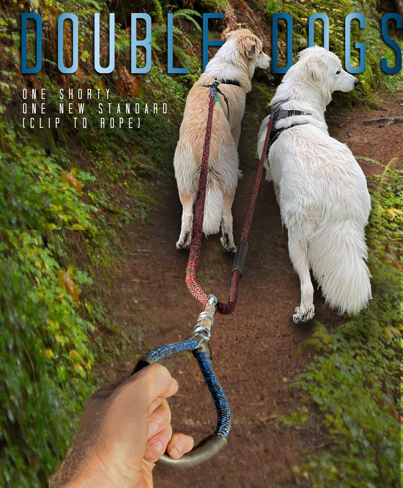 DOUBLE DOG