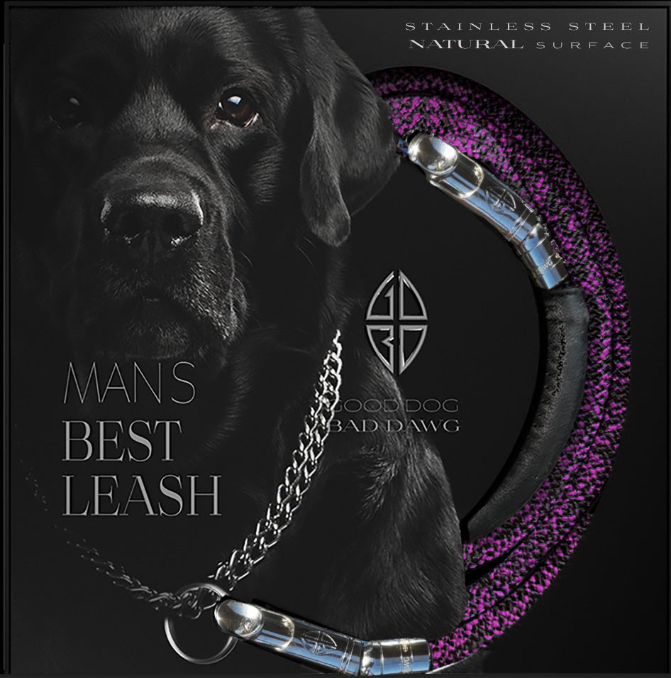 New Standard Edition