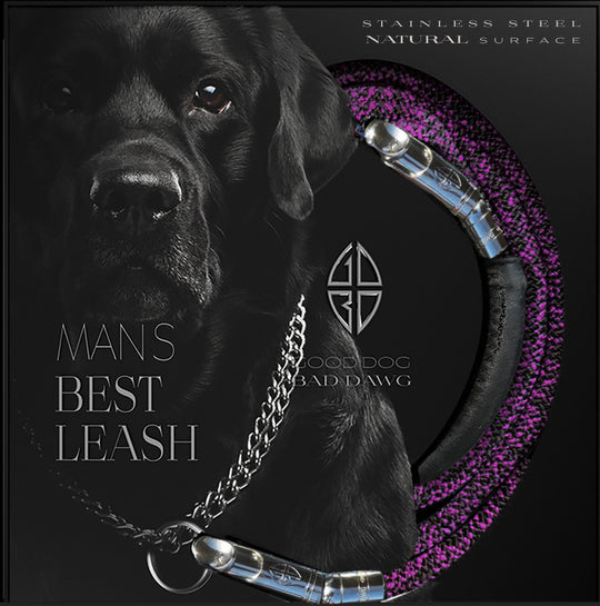 New Standard Edition