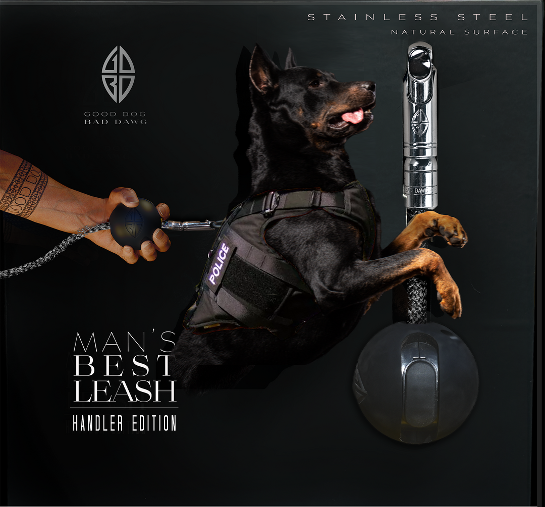 Handler Edition
