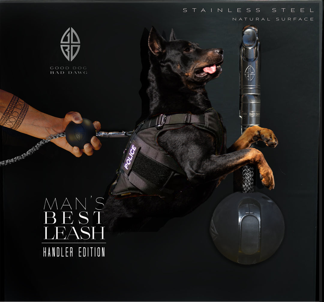 Handler Edition
